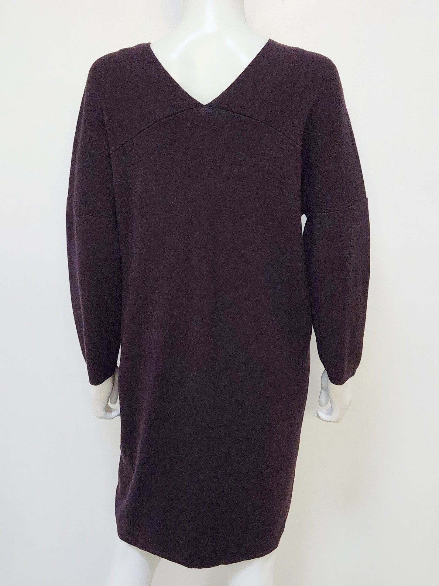 Sweater Dress Size Large NWT