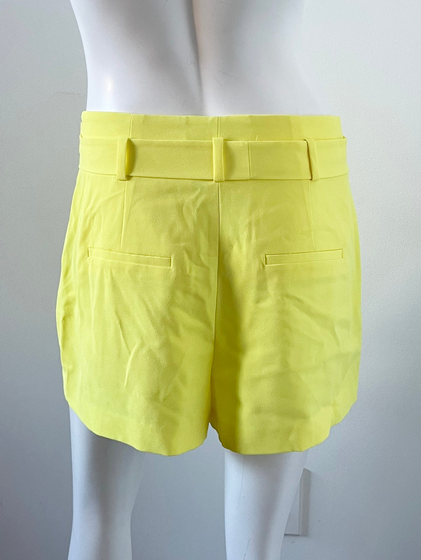 Belted Crepe Shorts Size 8