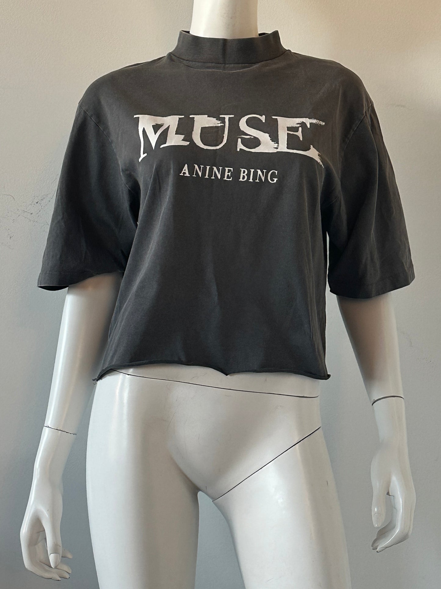 Wes Painted Muse Tee Size XS