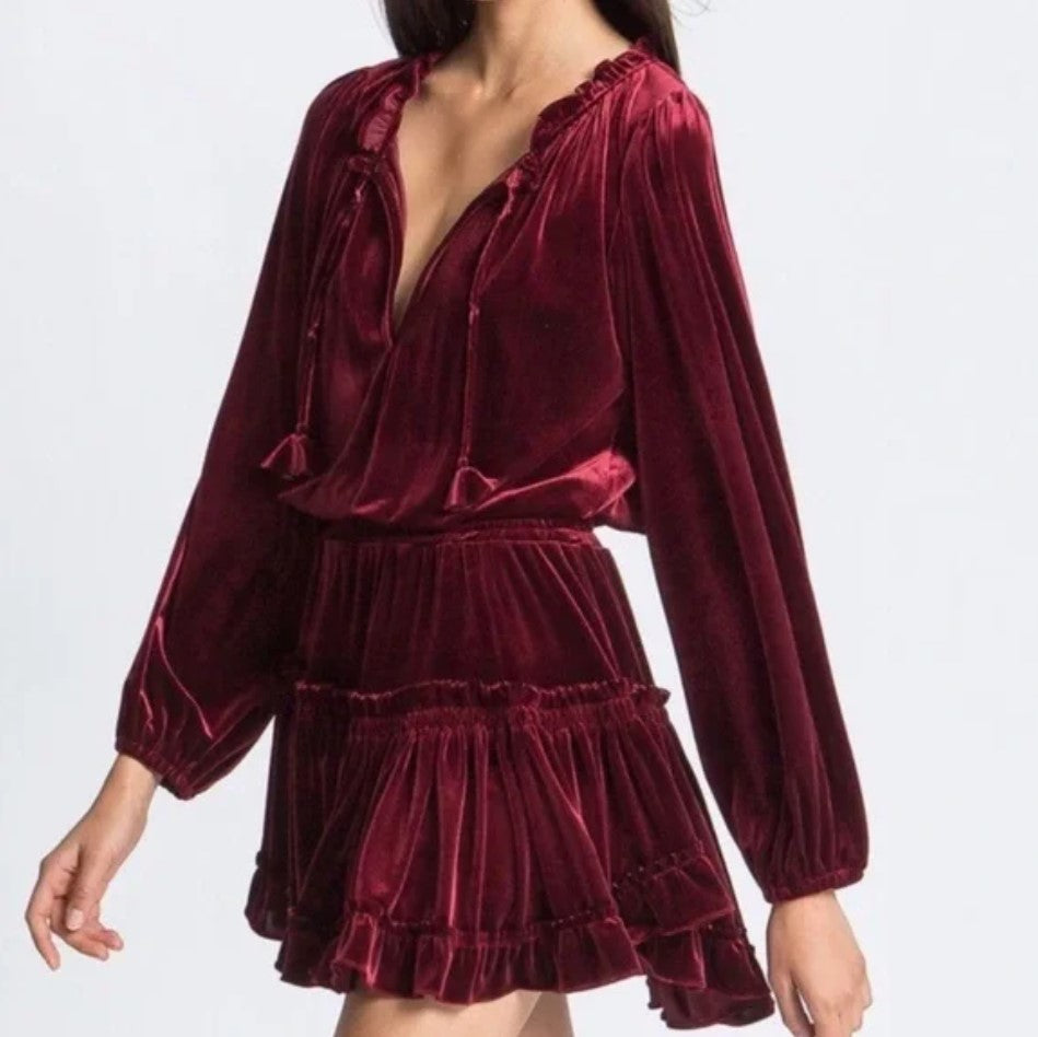 Lorena Velvet Dress Size Small